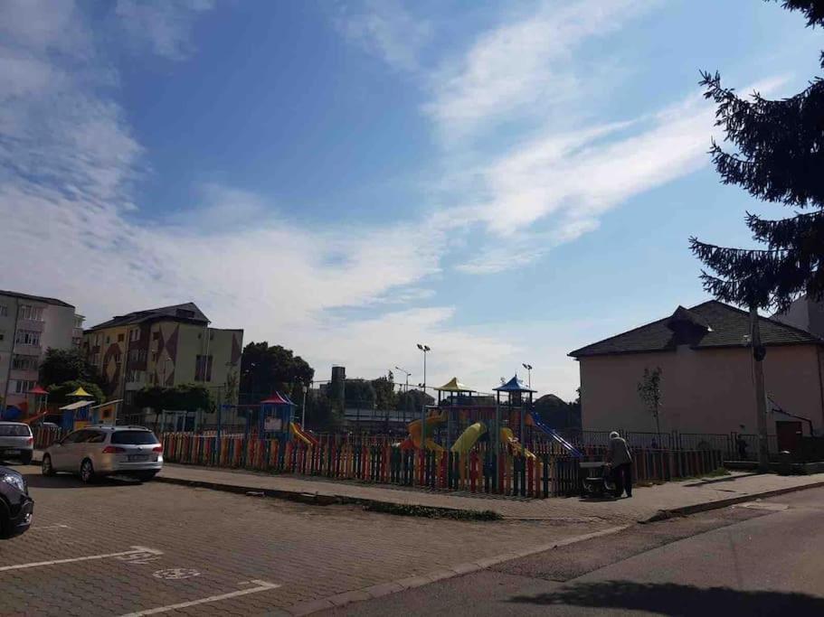 Camarad's House - Lovely In Alba Iulia