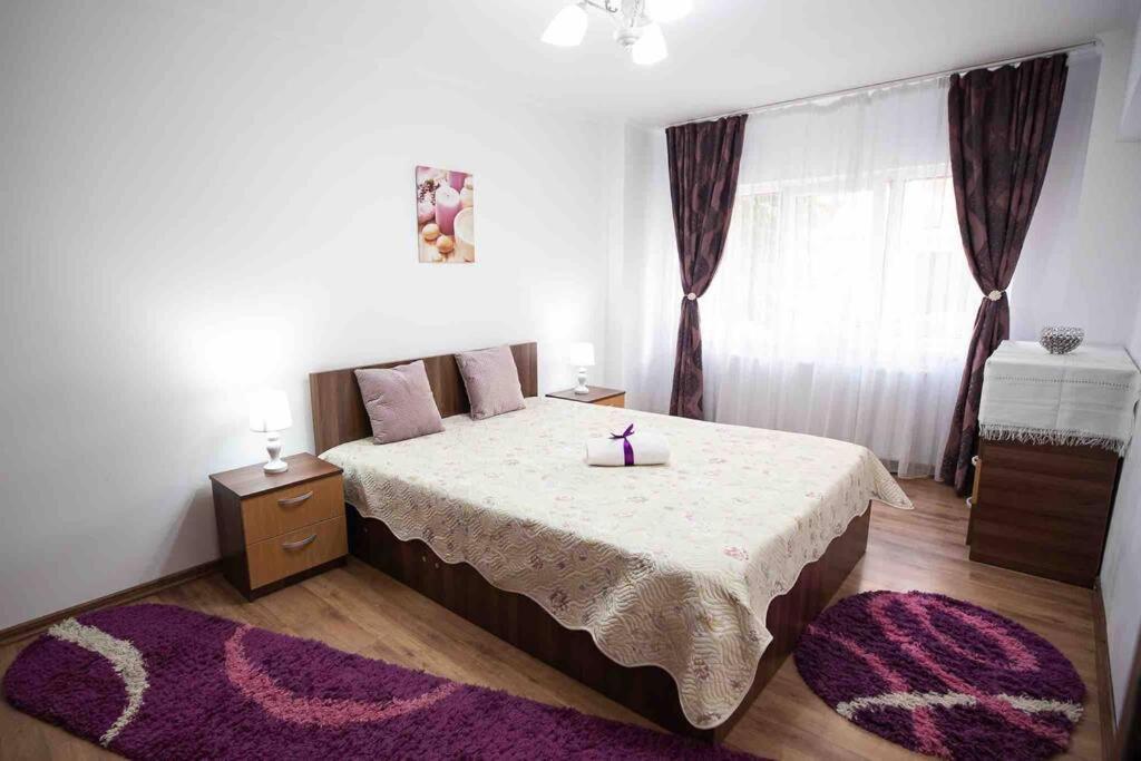 Camarad's House - Lovely In Appartement